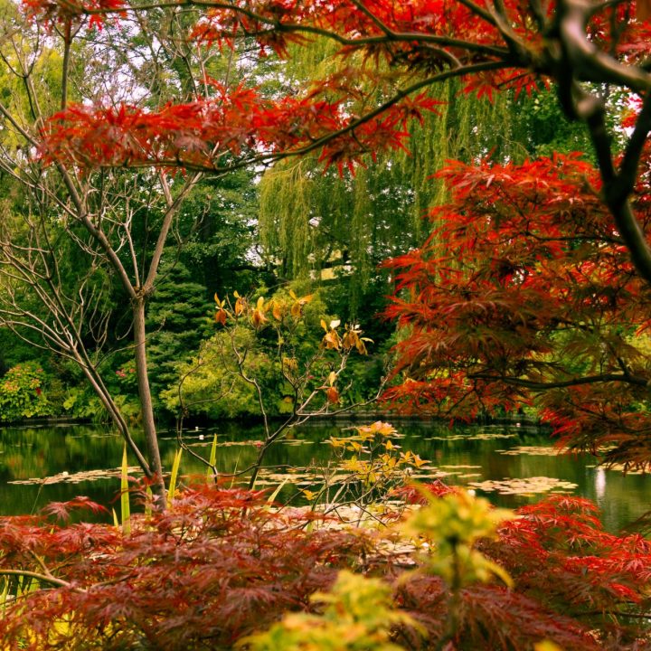 elisa-bertoja--dp4xF_2GPA-unsplash