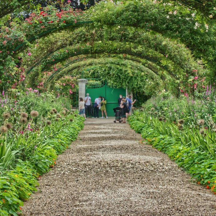 pascal-bernardon-6VTkIrWr_n0-unsplash (1)