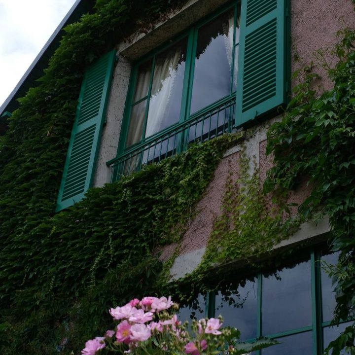 shay-zukerman-ygOwxWWPeRc-unsplash